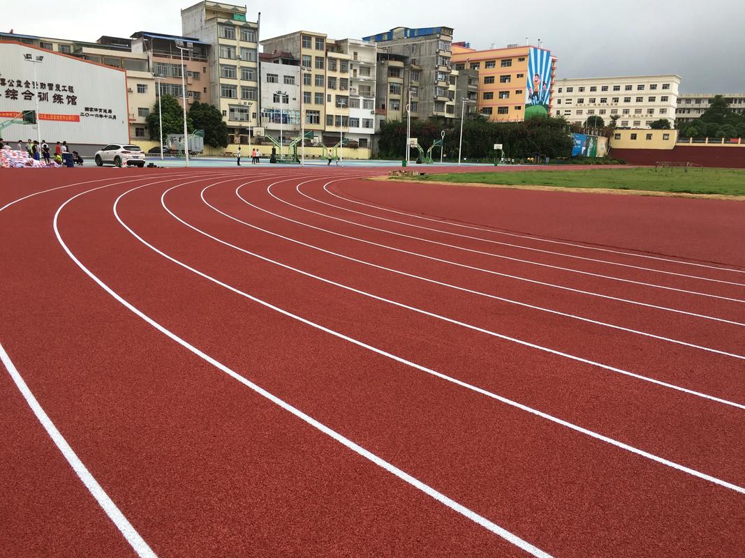 湛江市人造草坪塑胶跑道材料 - 厂家